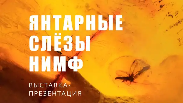 ЯНТАРНЫЕ СЛЁЗЫ НИМФ