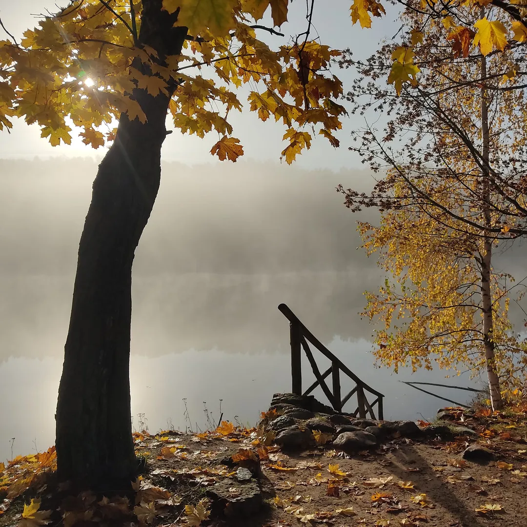 Профессиональная фото- и видеосъёмка