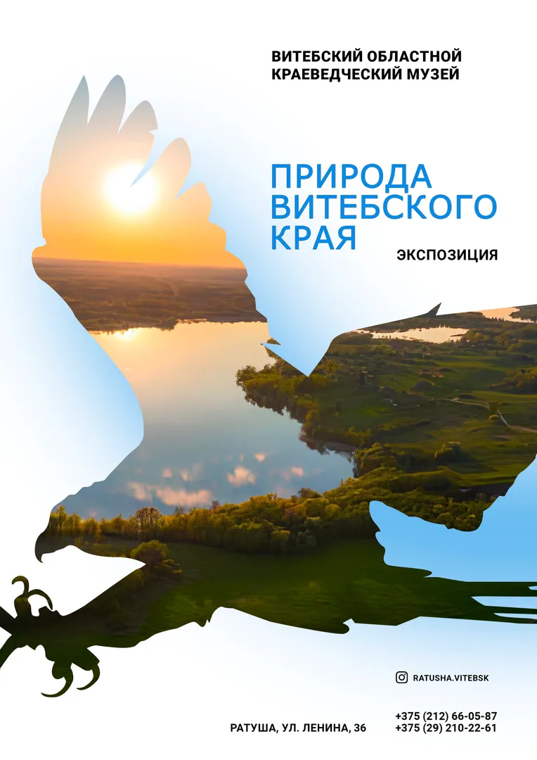 ПРИРОДА ВИТЕБСКОГО КРАЯ