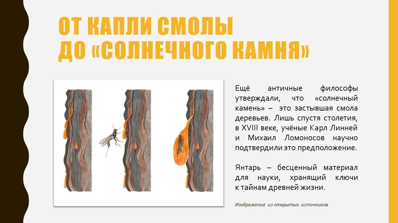 ЯНТАРНЫЕ СЛЁЗЫ НИМФ - изображение 5