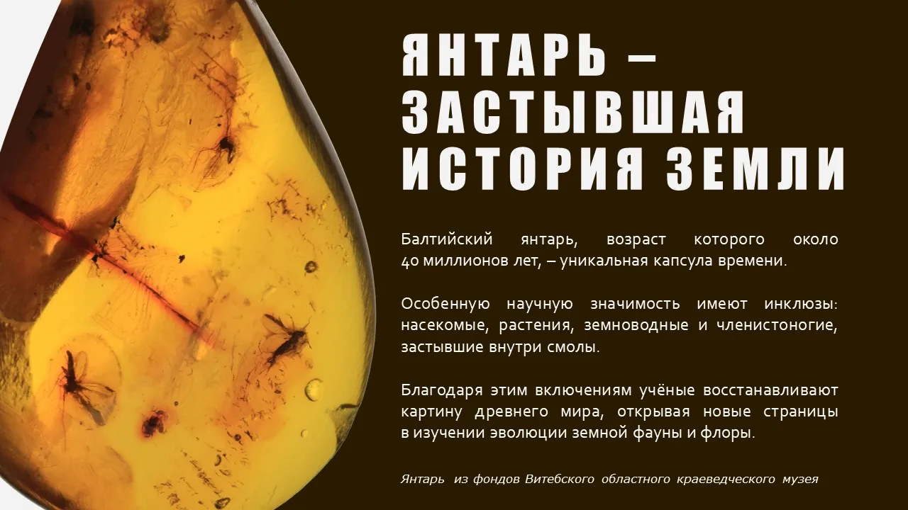 ЯНТАРНЫЕ СЛЁЗЫ НИМФ - изображение 6